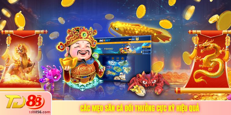 Các mẹo săn cá đổi thưởng cực kỳ hiệu quả