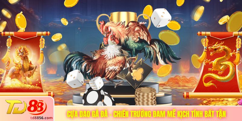 Cựa Dao Gà Đá - Chiến Trường Đam Mê Kịch Tính Bất Tận