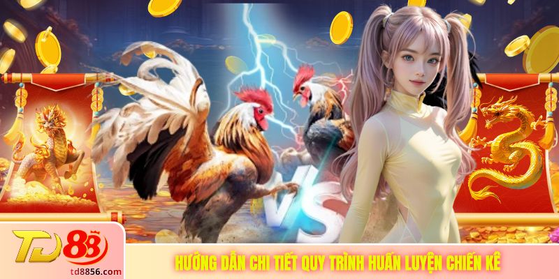 Hướng dẫn chi tiết quy trình huấn luyện chiến kê