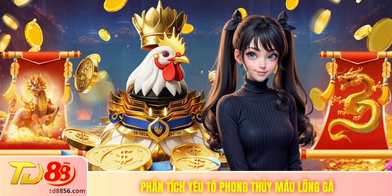 Phân tích yếu tố phong thủy màu lông gà
