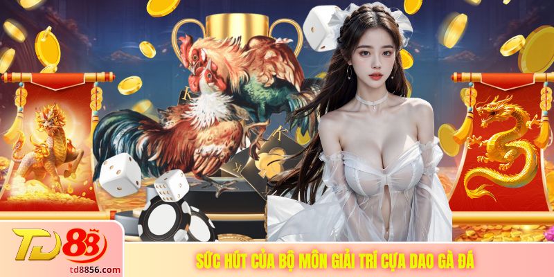 Sức hút của bộ môn giải trí cựa dao gà đá