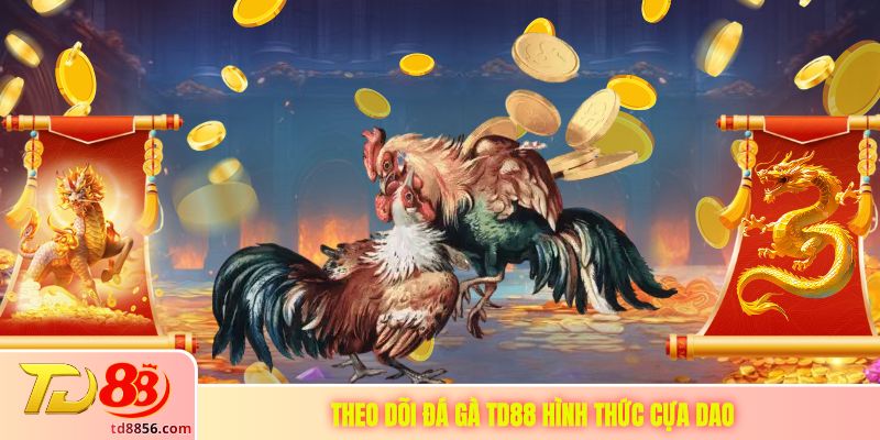 Theo dõi đá gà TD88 hình thức cựa dao