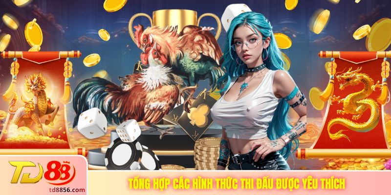 Tổng hợp các hình thức thi đấu được yêu thích