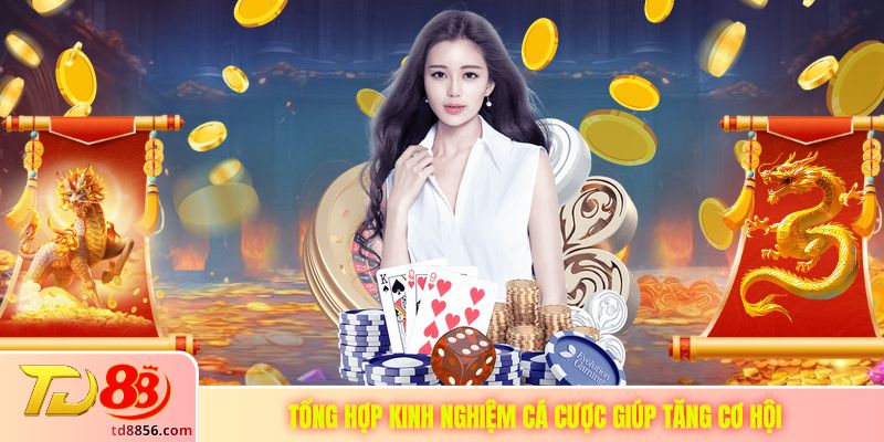 Tổng hợp kinh nghiệm cá cược giúp tăng cơ hội